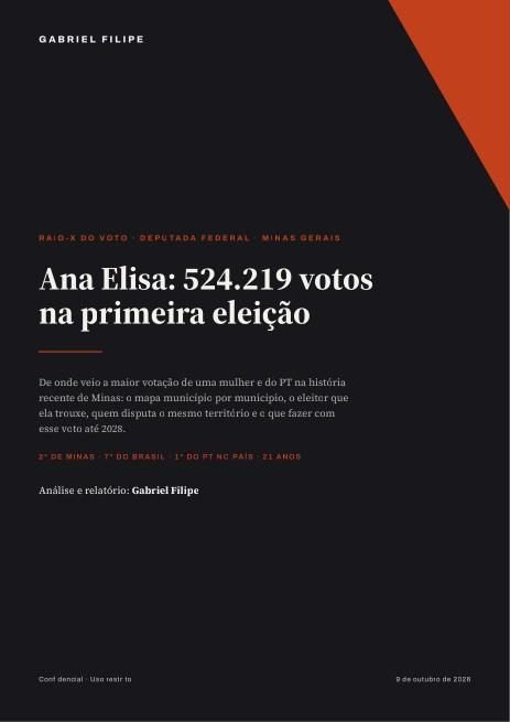 Página do relatório de Ana Elisa